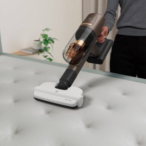 Electrolux ZE149 Szczotka Ręczny odkurzacz