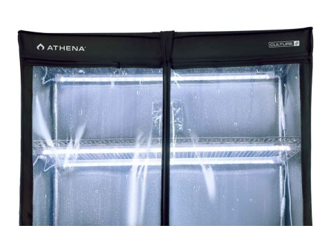 ATHENA VPDOME
