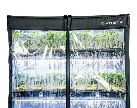 ATHENA VPDOME