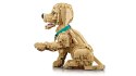 LEGO 11384 Icons - Szczeniak golden retriever