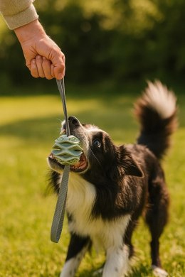 ZOLUX Zabawka dla psa piłka TPR Outdoor kol. niebieski